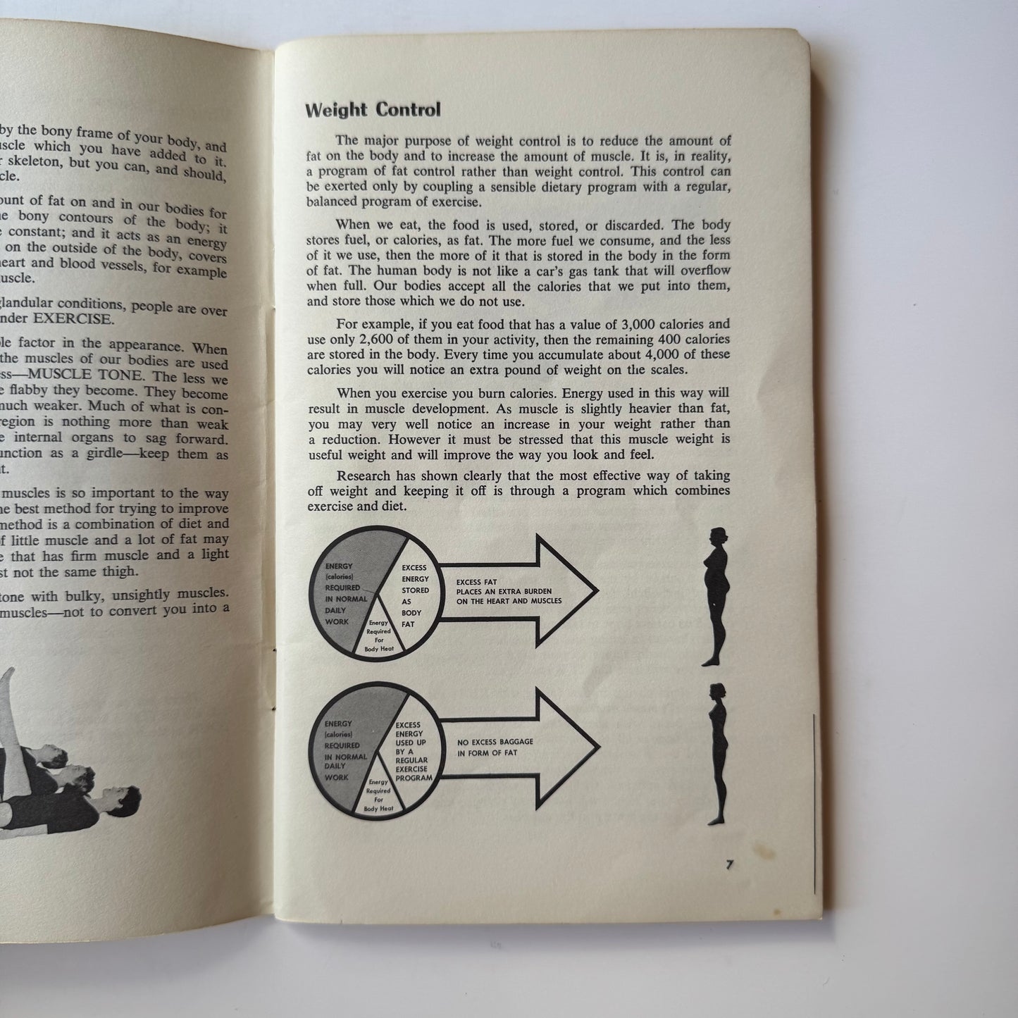 Royal Canadian Air Force Exercise Plans, 1962, Vintage Flight Attendant Exercise Plans