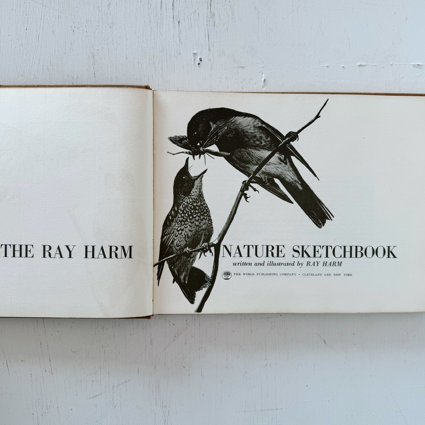 The Ray Harm Nature Sketchbook, First Edition, 1967 Naturalist Drawings