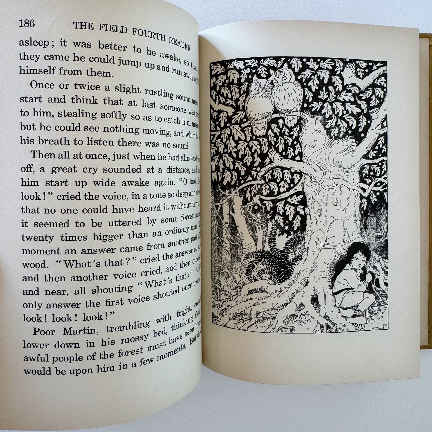 The Field Fourth Reader, 1925 Illustrated English Reader