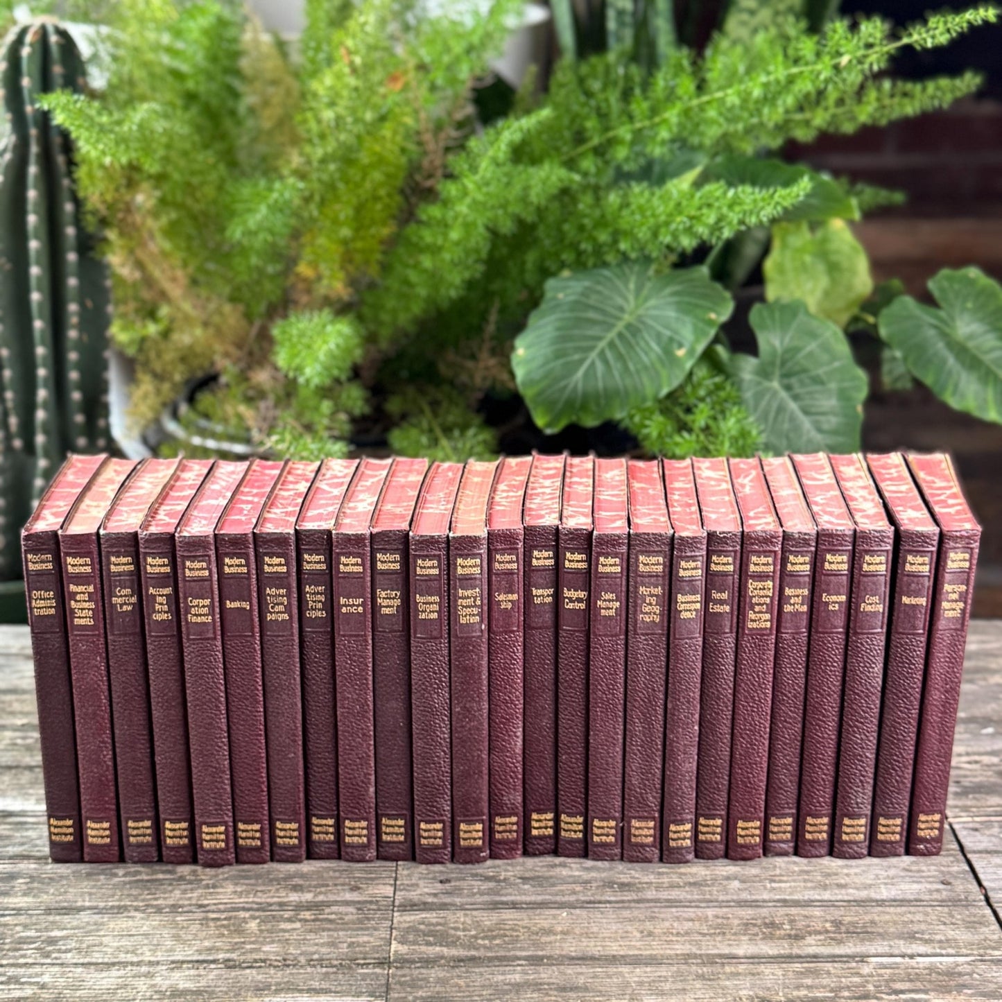 1936 Modern Business Book Set, Alexander Hamilton Institute, Deep Burgundy & Gold Mid Century Marbled Book Set - Pretty Old Books