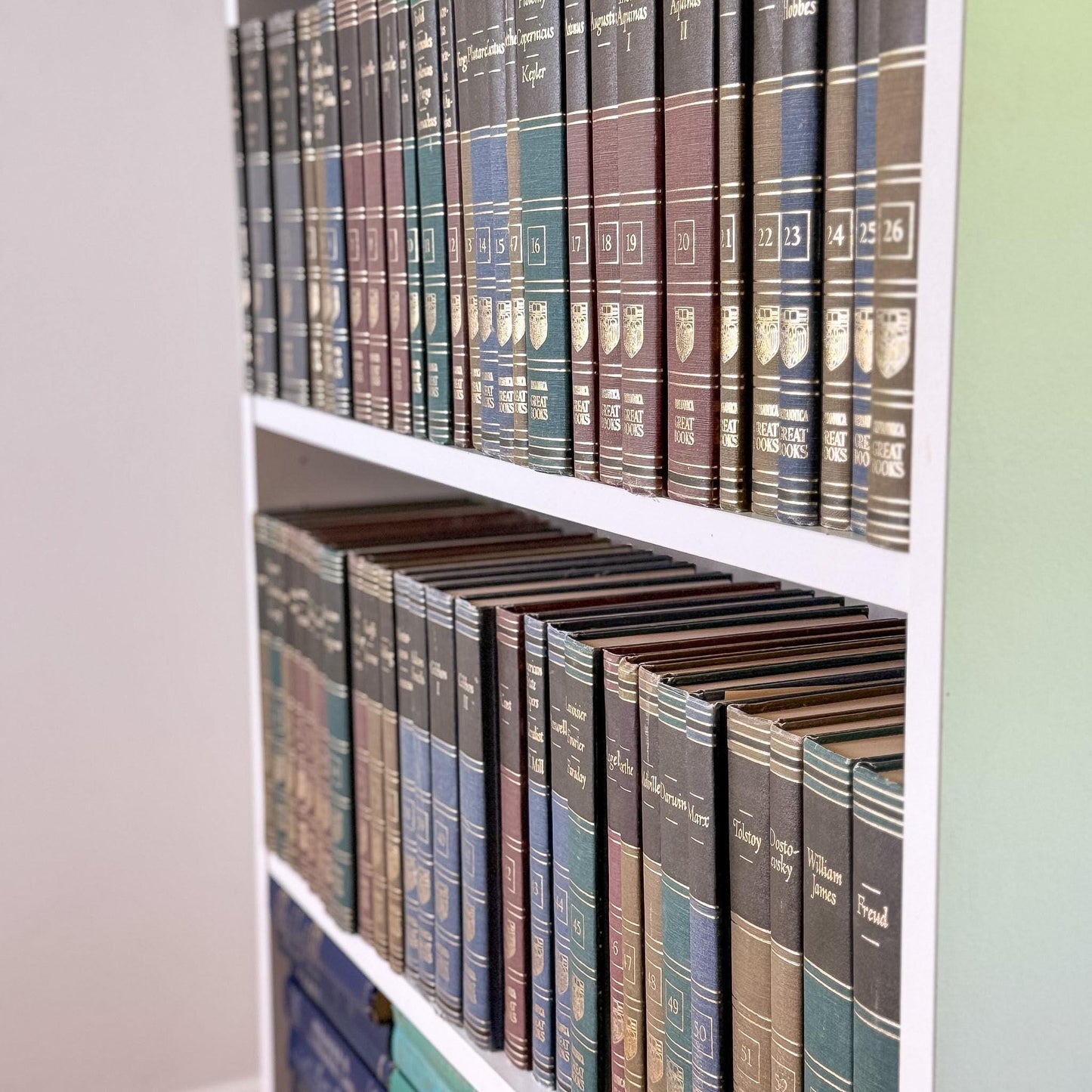 1952 Britannica Great Books of the Western World Set, 54 Volumes, Mid-Century Reference Collection - Pretty Old Books