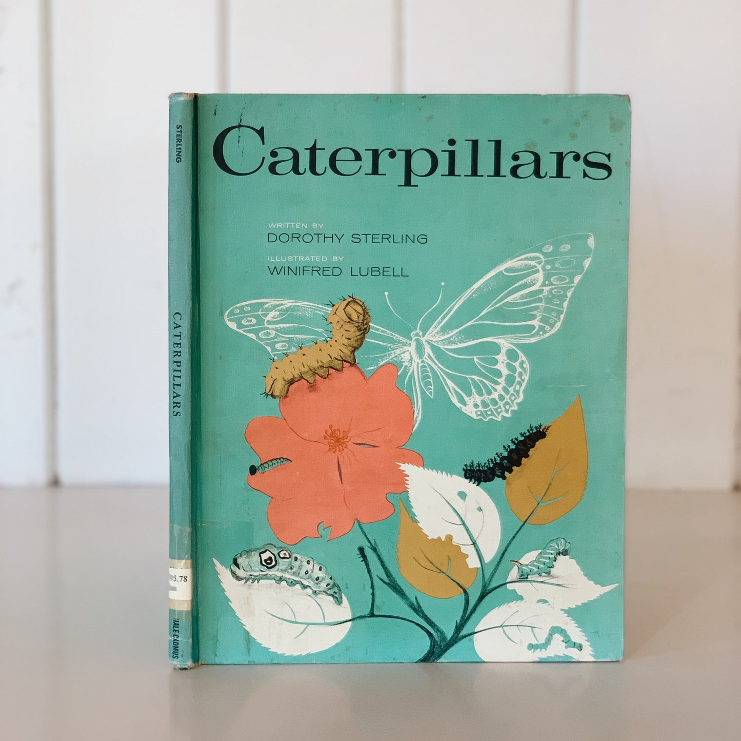 Caterpillars, Dorothy Sterling, 1965, Children's Nature Study Book
