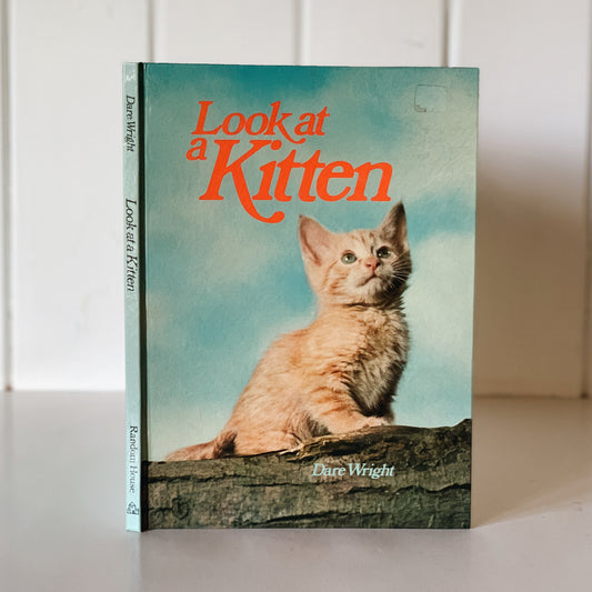 Look At A Kitten, 1975 Hardcover, Dare Wright