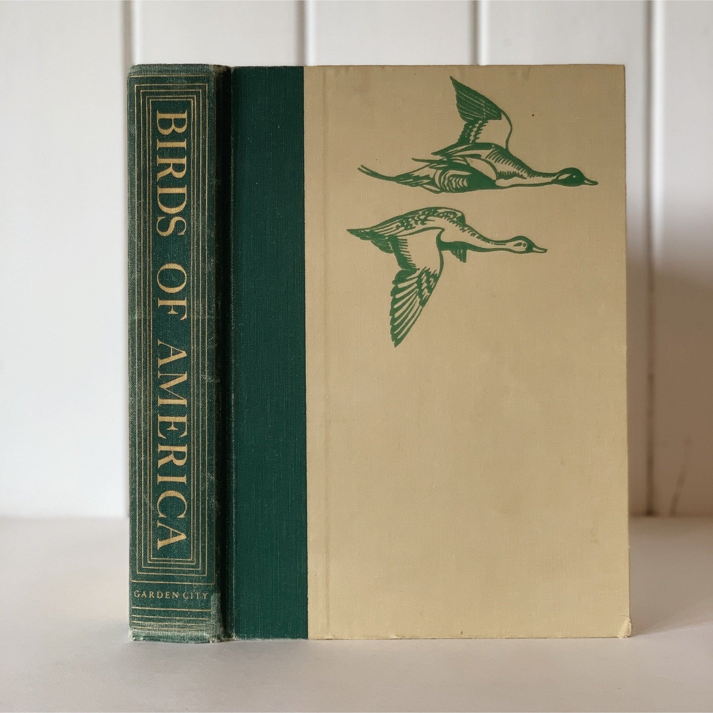 Birds of America, Oversized Illustrated 1936 Hardcover