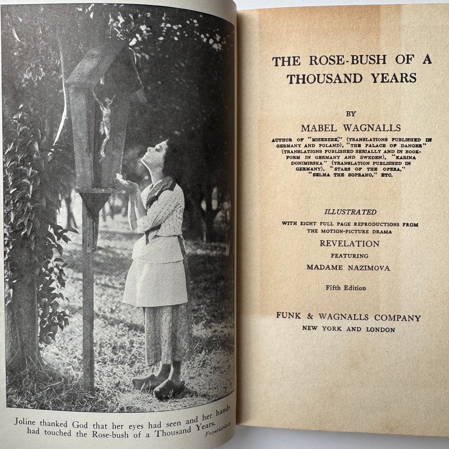 The Rose Bush of a Thousand Years, Mabel Wagnalls, 1918 Hardcover