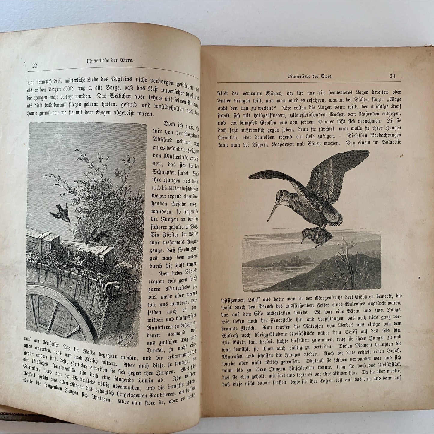 Antique 1887 Illustrated Children's Stories in german, Sonntagsgruß für die deutschen Tugenden