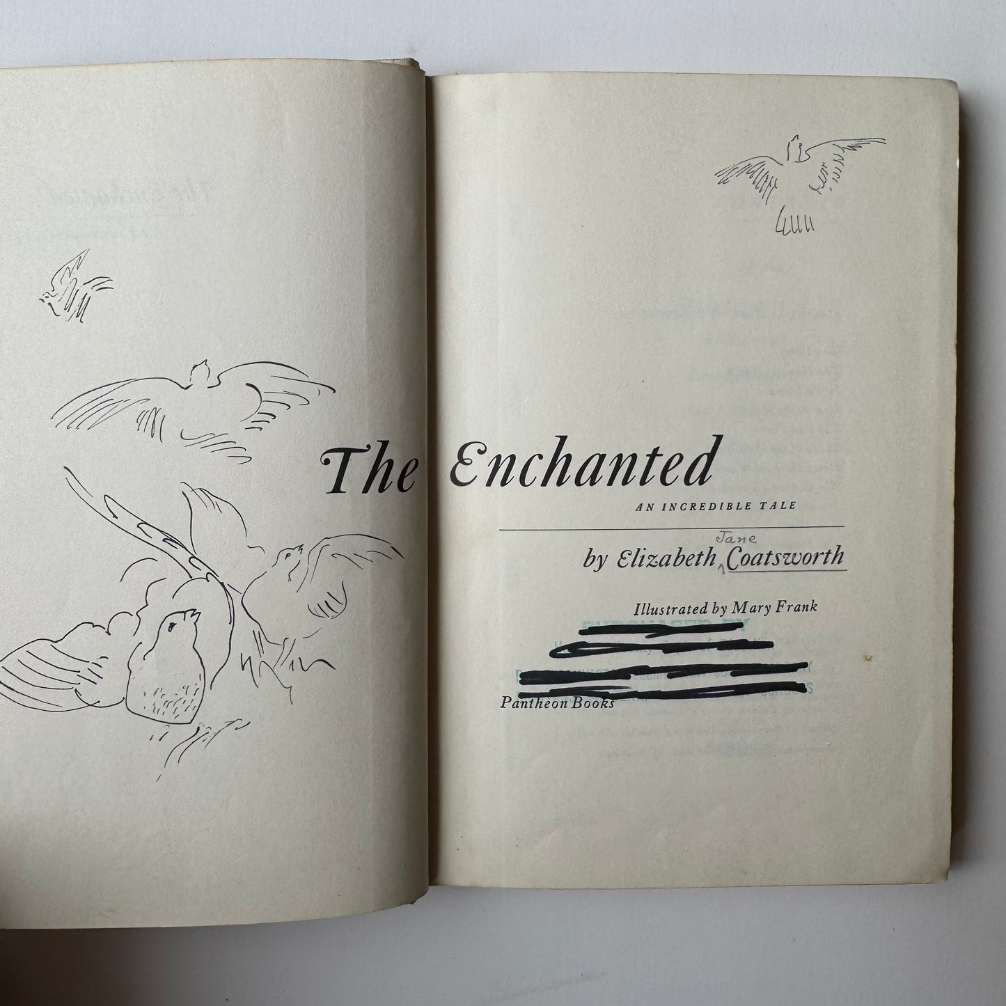 The Enchanted: An Incredible Tale, Elizabeth Coatsworth 1968 Hardcover