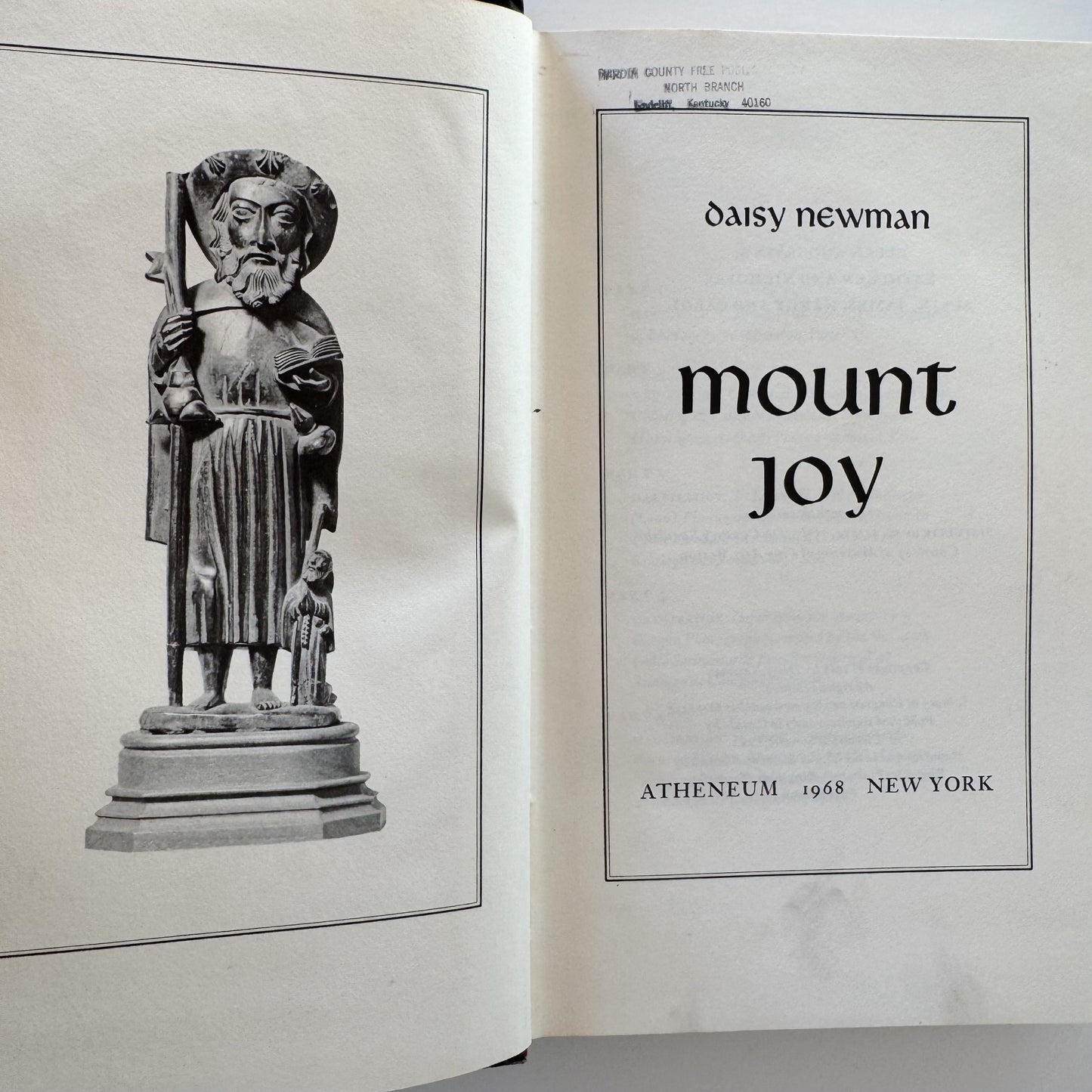 Mount Joy, Young Adult Coming of Age Novel, Daisy Newman, 1968 First Edition