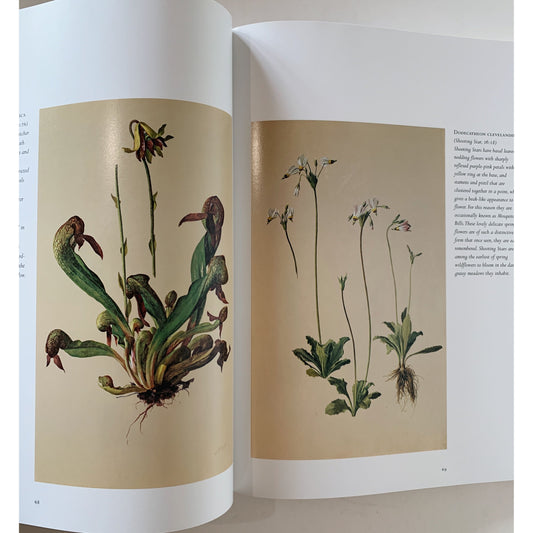 Plant Portraits: The California Legacy of A. R. Valentien, The Irvine Museum