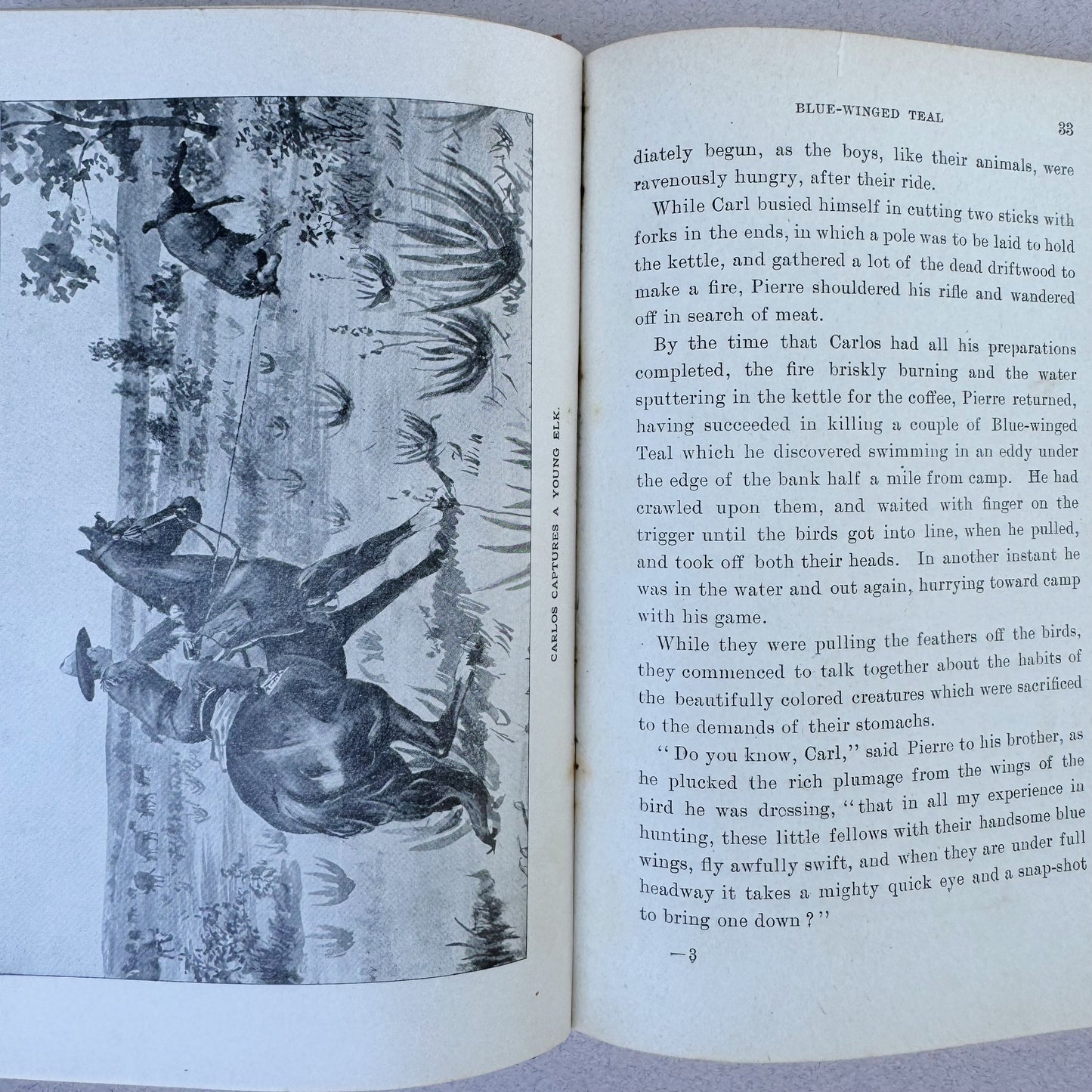 The Delahoydes: Boy Life on the Old Santa Fe Trail, Colonel Henry Inman, 1917