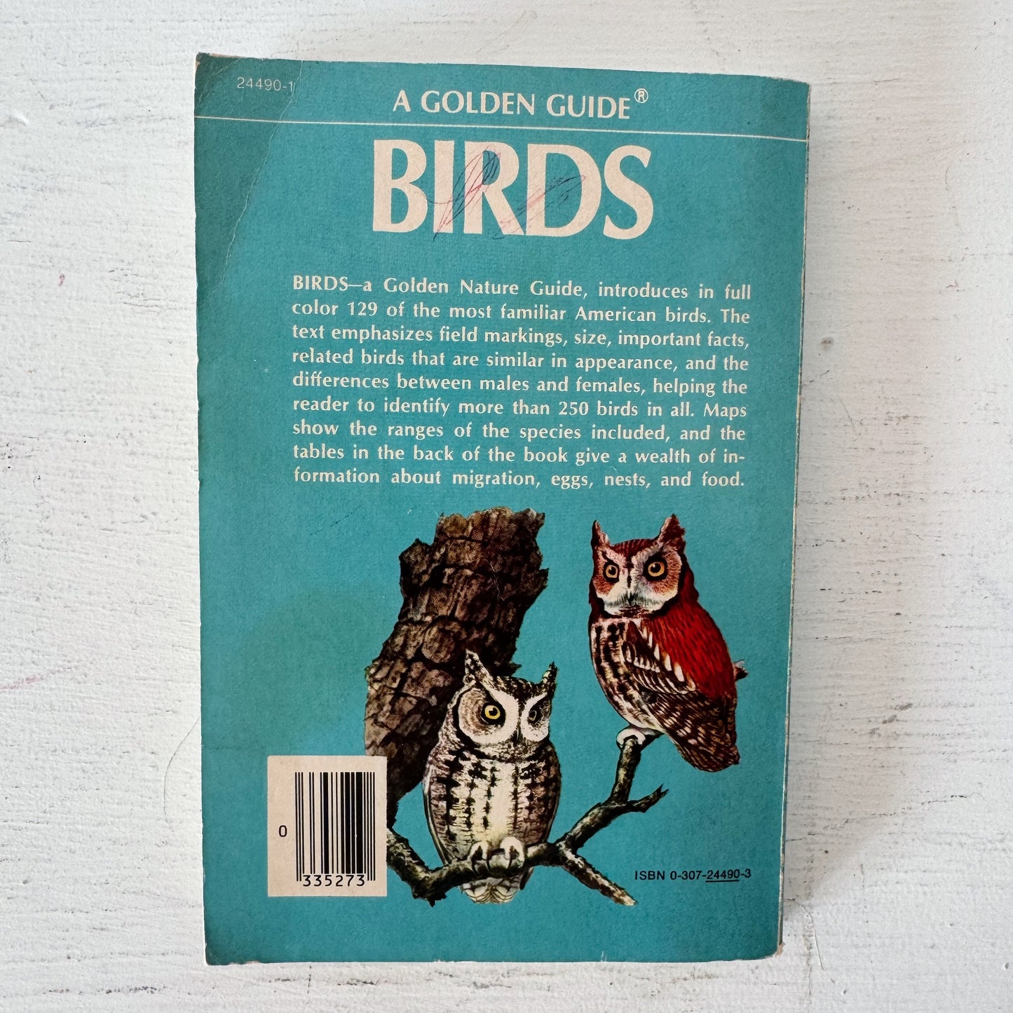 Birds A Golden Guide Paperback, Vintage 1956