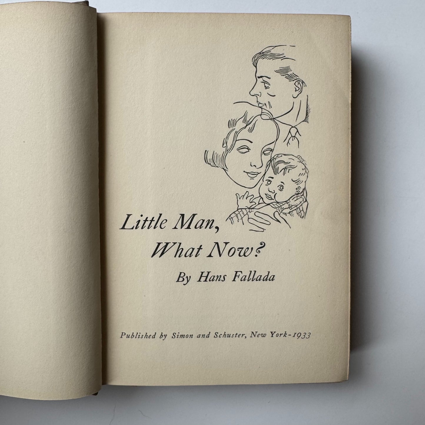 Little Man What Now? Hans Fallada, 1933 First US Edition, Hardcover with DJ