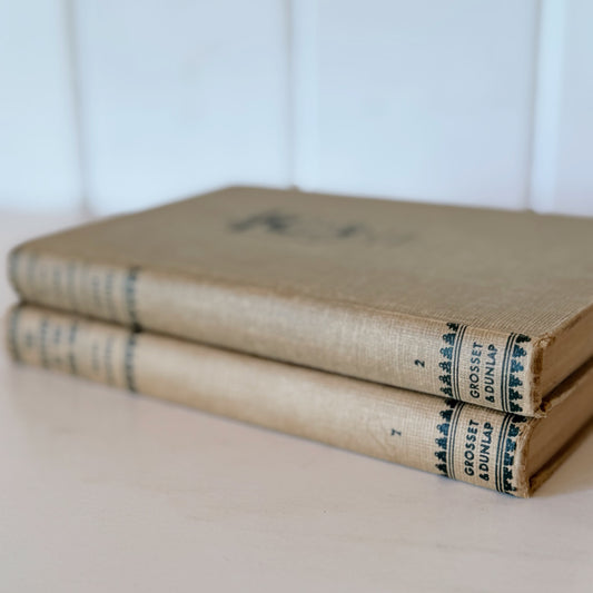 The Ken Holt Mystery Stories, Riddle of the Stone Elephant and Mystery of the Iron Box