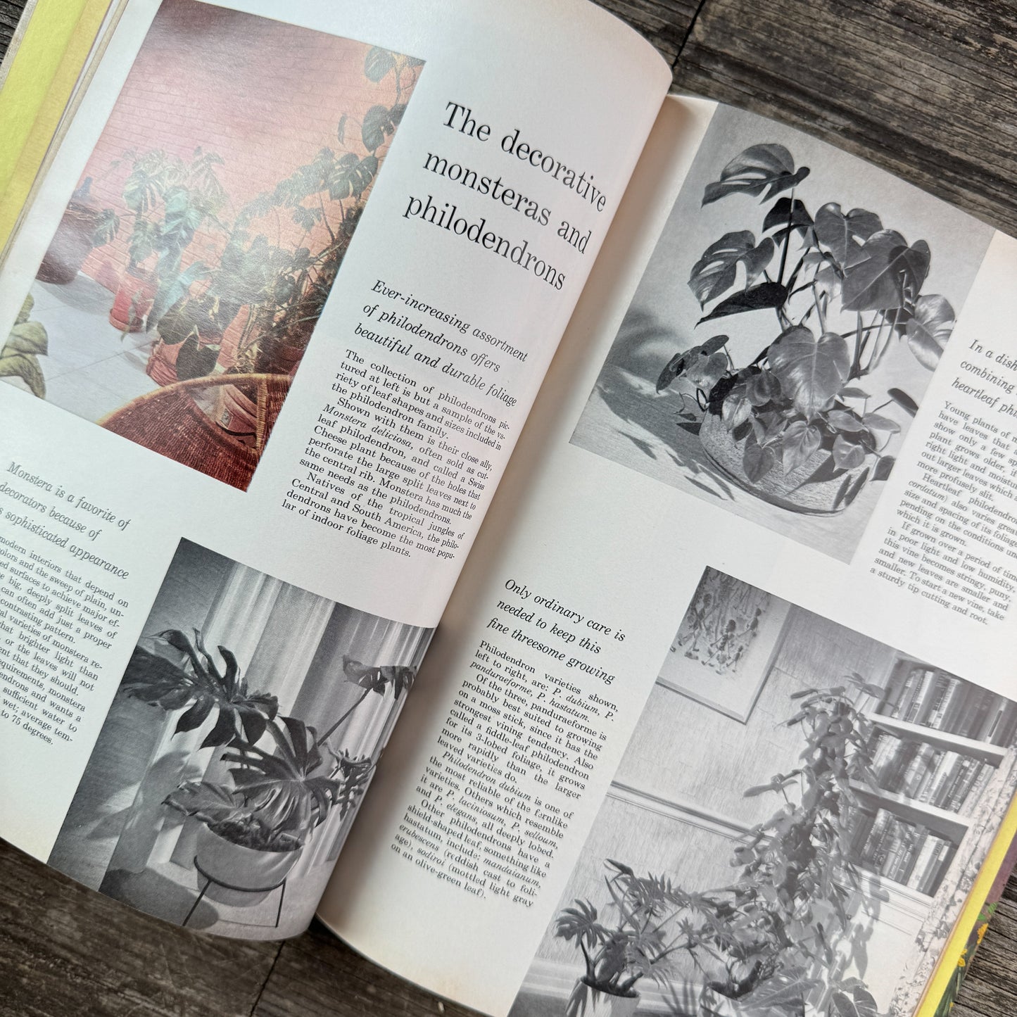 Better Homes and Gardens Houseplants, 1959