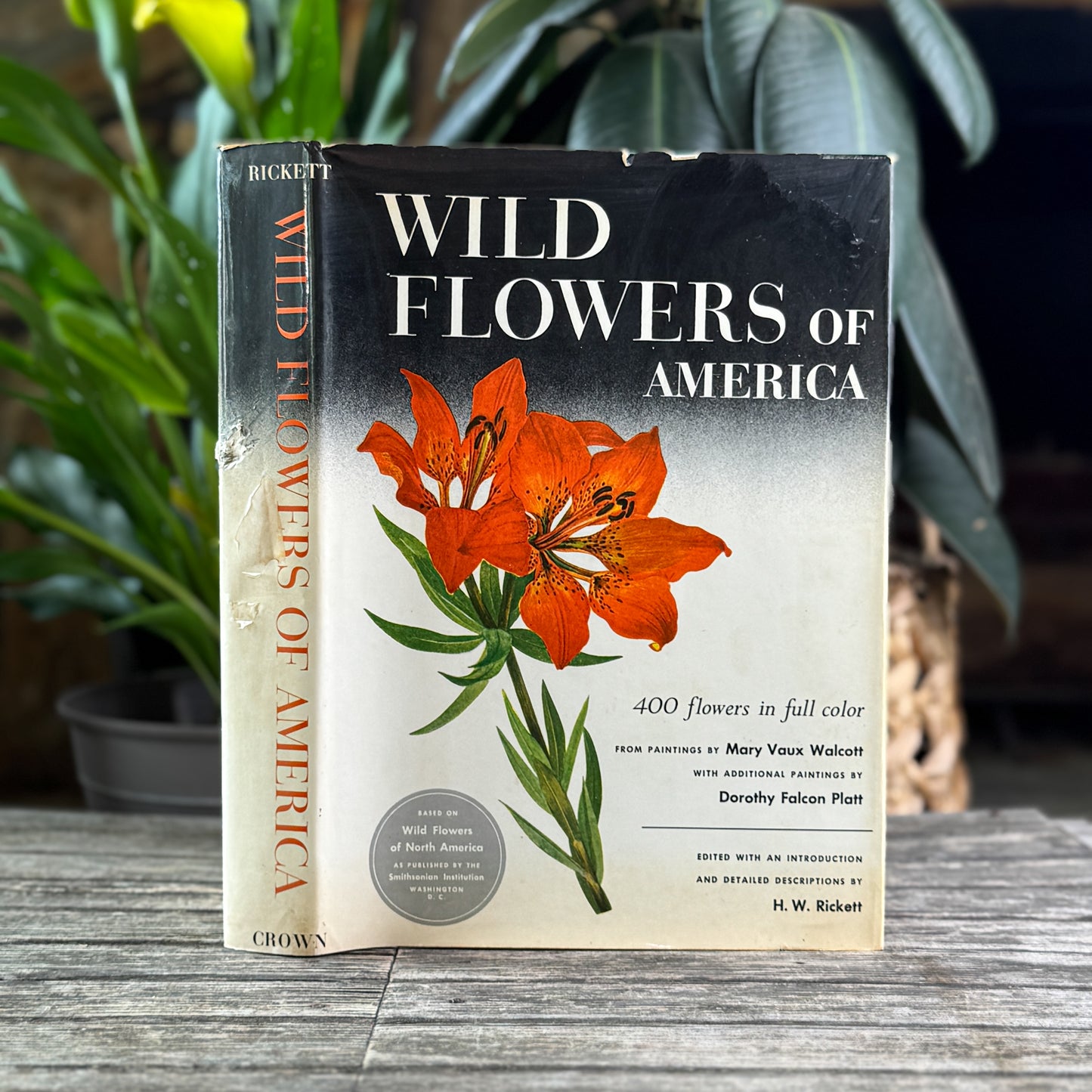 Wild Flowers of America, Oversized Hardcover, H.W. Rickett, 1953