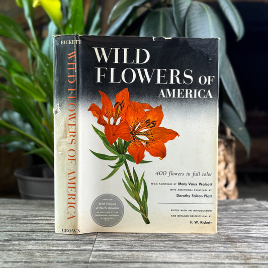 Wild Flowers of America, Oversized Hardcover, H.W. Rickett, 1953