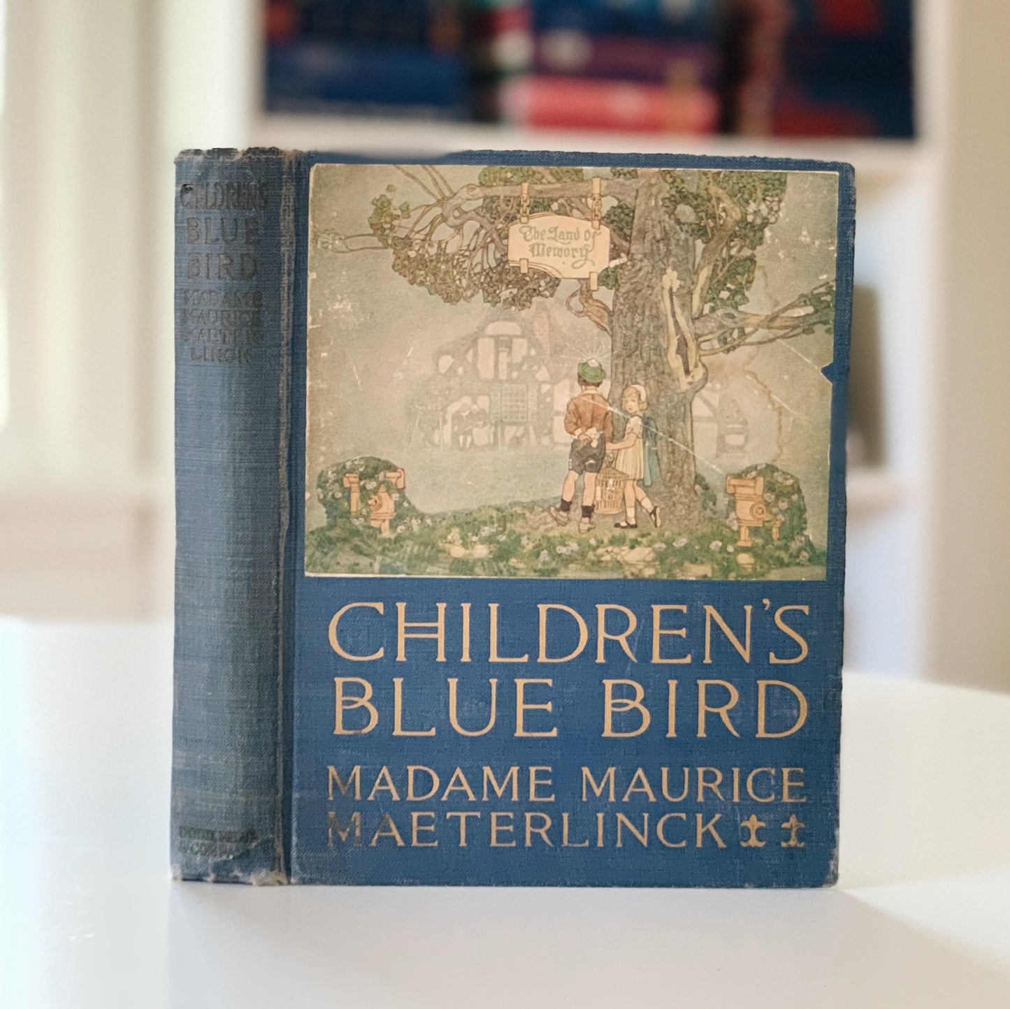 The Children's Blue Bird, Georgette Leblanc, Hardcover, 1920