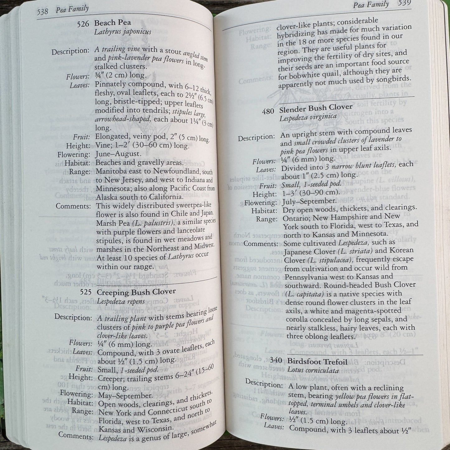 National Audubon Society Field Guide to North American Wildflowers, 2001