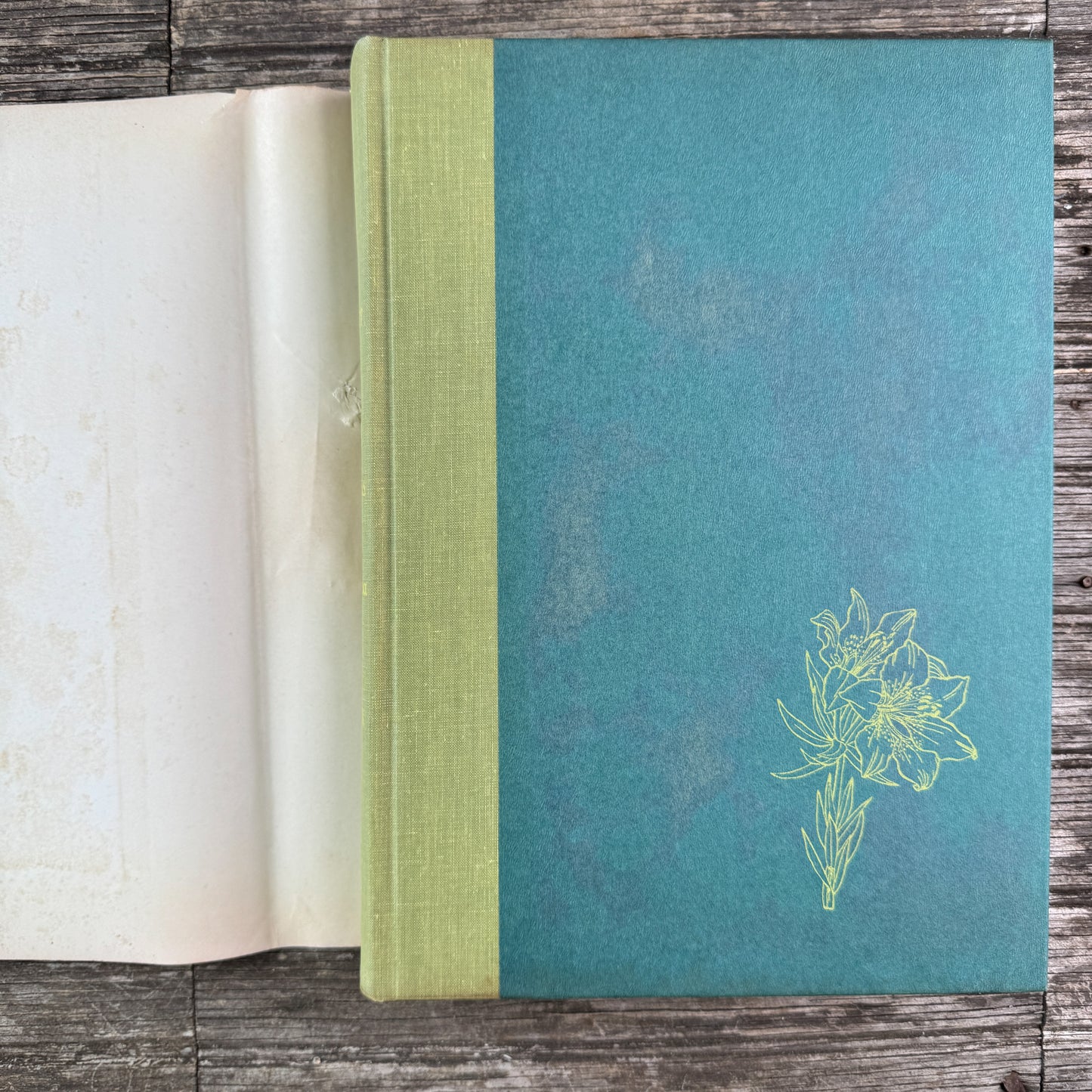 Wild Flowers of America, Oversized Hardcover, H.W. Rickett, 1953