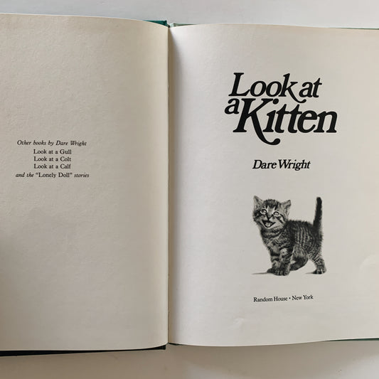 Look At A Kitten, 1975 Hardcover, Dare Wright