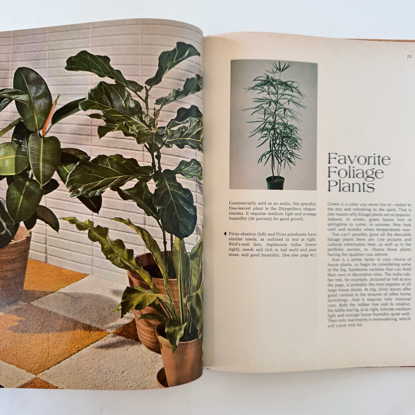 Better Homes and Gardens House Plants 1971 Hardcover Interior Design Book