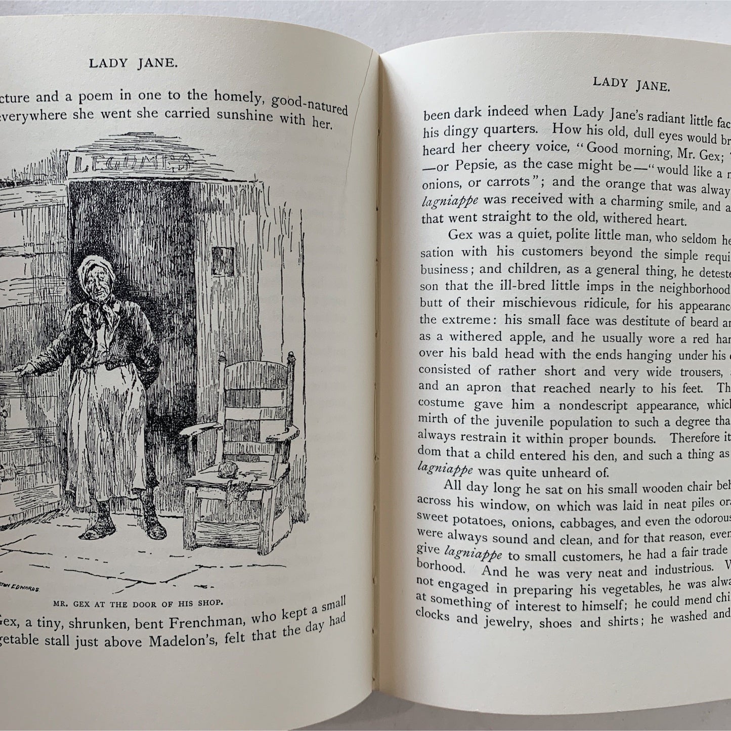 Lady Jane, Mrs. C V Jamison, Illustrated Hardcover Edition Children's Book