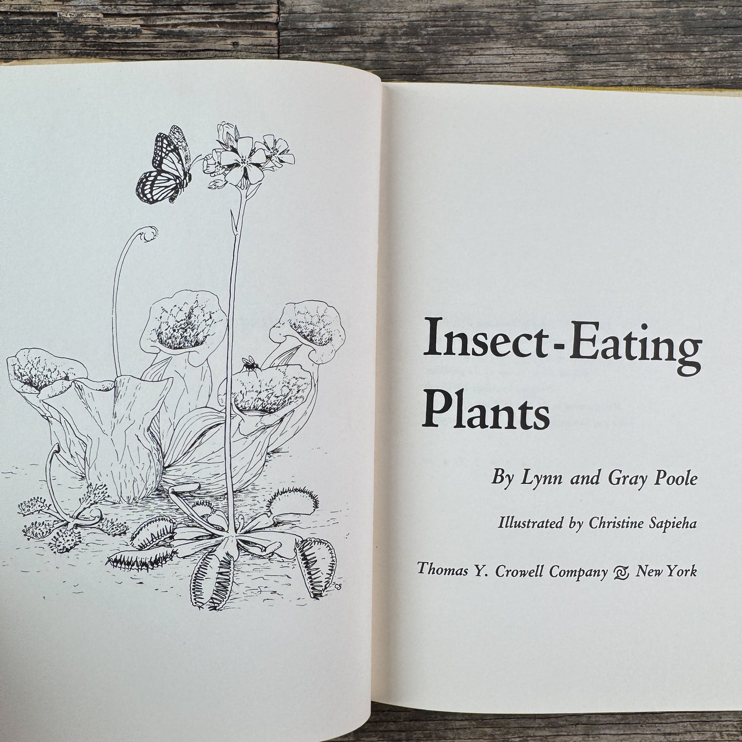 Insect-Eating Plants, Lynn and Gray Poole, 1963