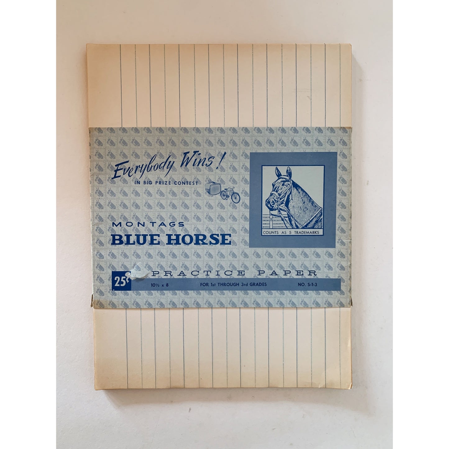 Blue Horse Primary School Tablet Manuscript Writing and Practice Paper, Vintage Unused