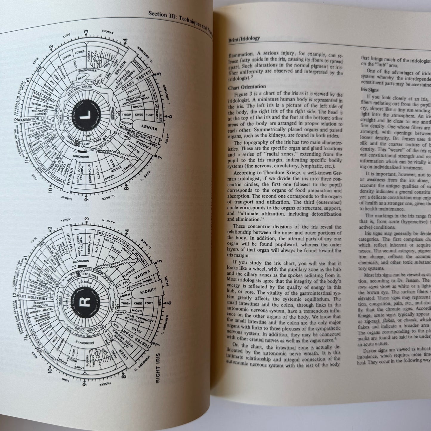 The Holistic Health Handbook, Berkeley Holistic Health Center 1978 First Edition