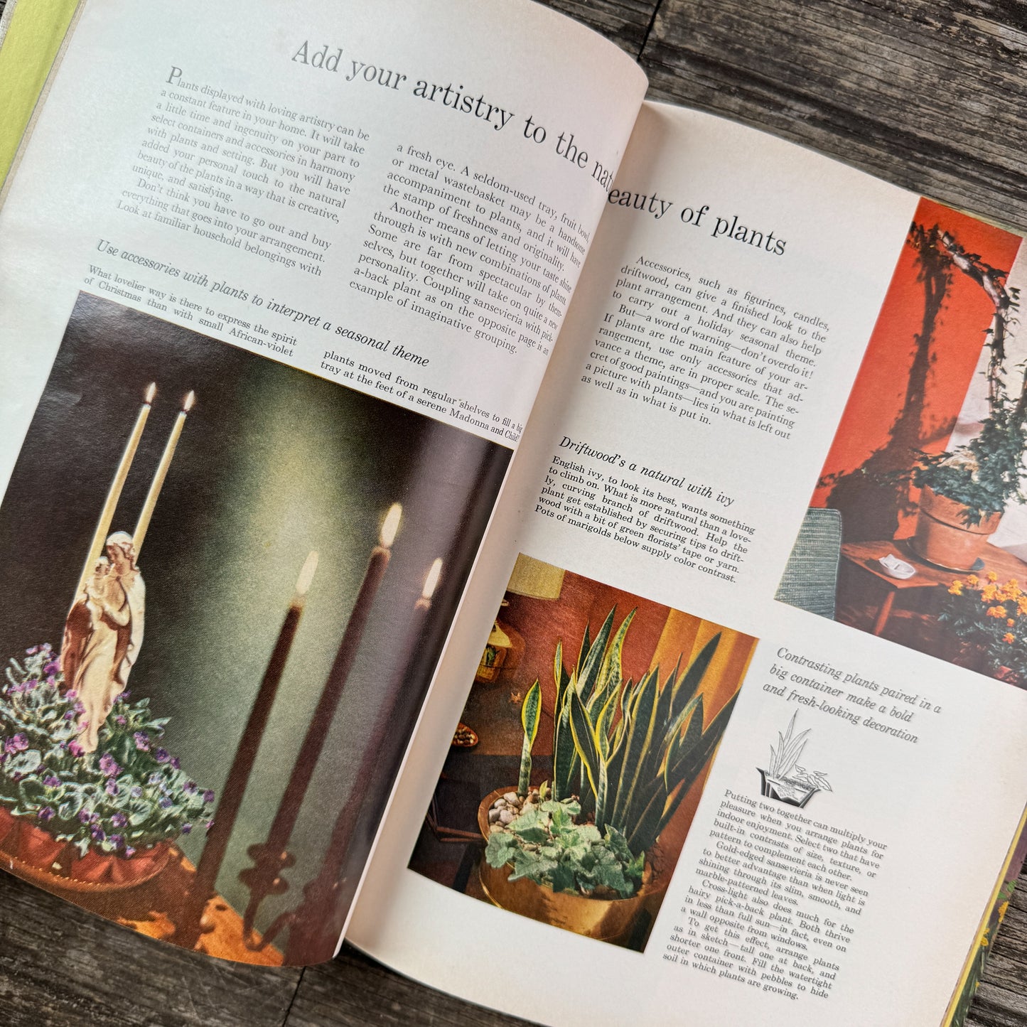 Better Homes and Gardens Houseplants, 1959