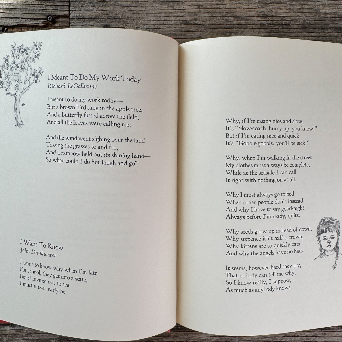Poems of Childhood, Illustrated by Joan Berg Victor, 1969
