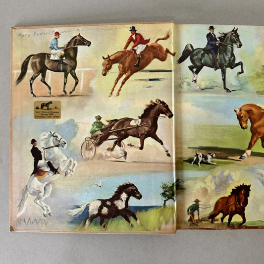 Album of Horses, Marguerite Henry, 1960, Illustrated Children's Guide to Horses