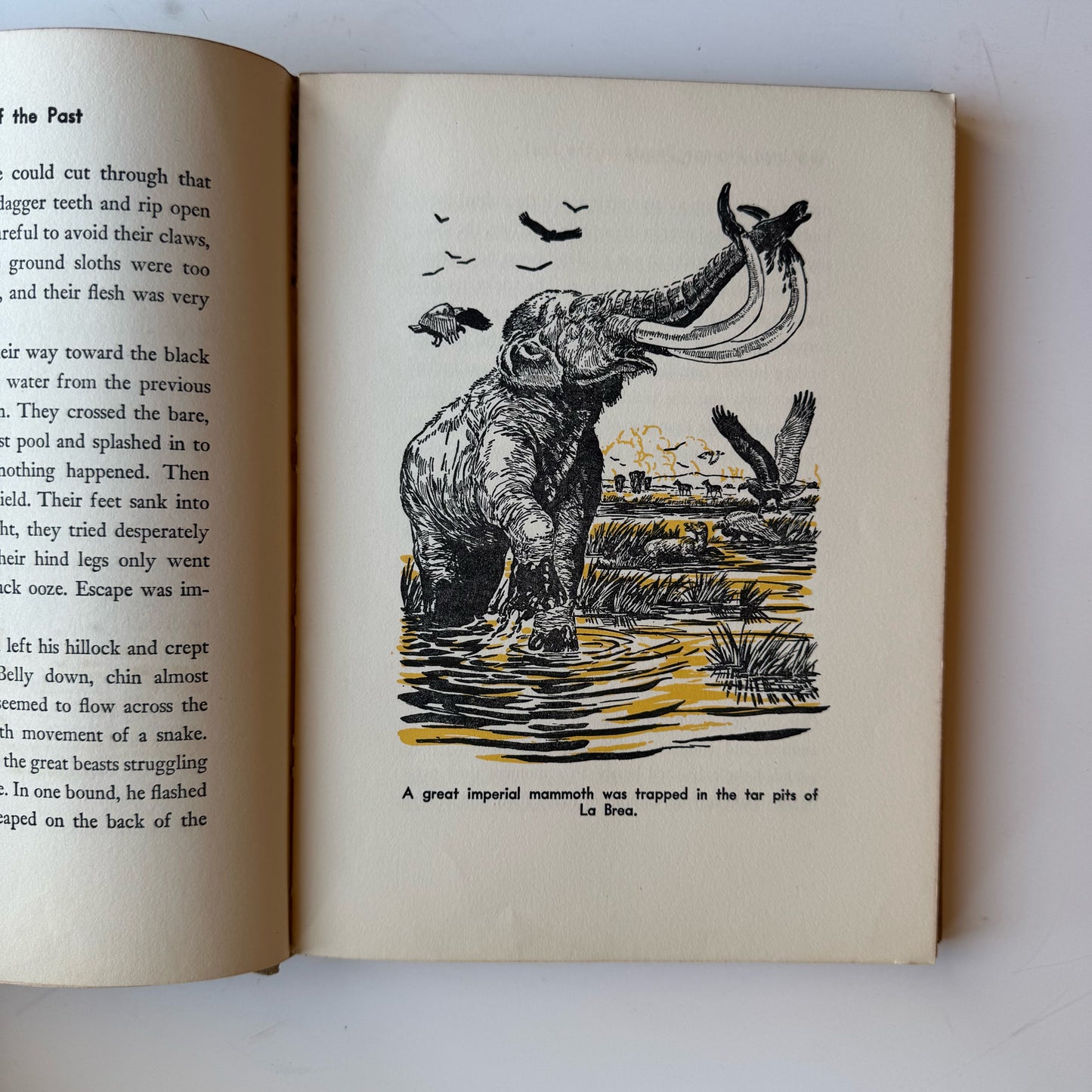 All About Strange Beasts of the Past 1956 Children's Hardcover Book