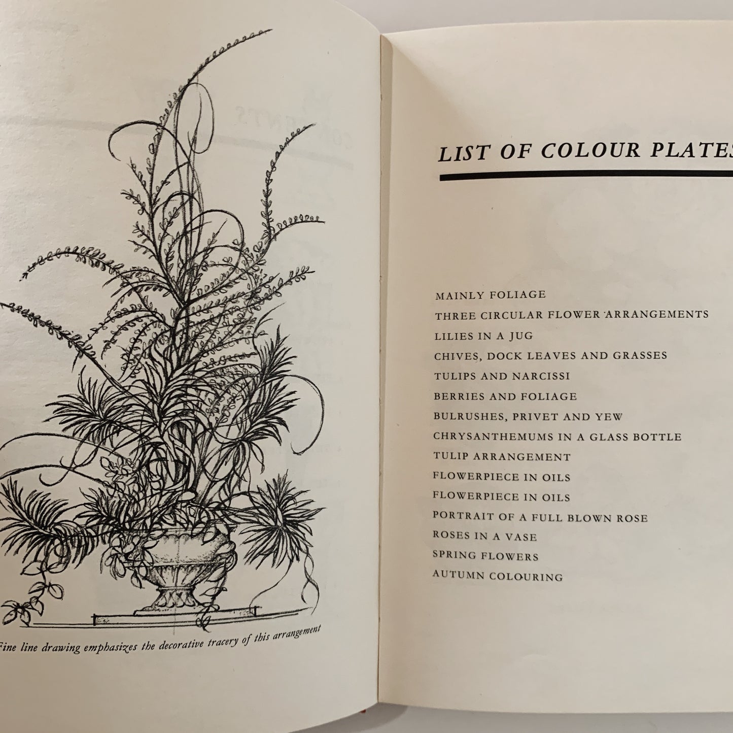 Drawing and Painting Flowers, Adrian Hill, British Art Book, 1965