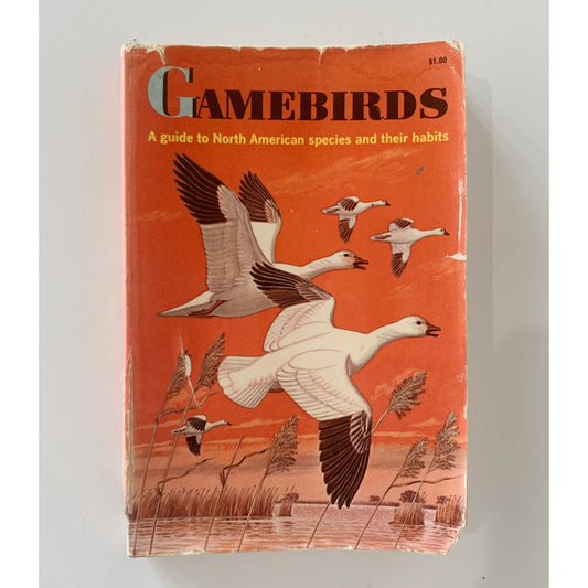 Game Birds A Golden Guide Paperback, Vintage 1964
