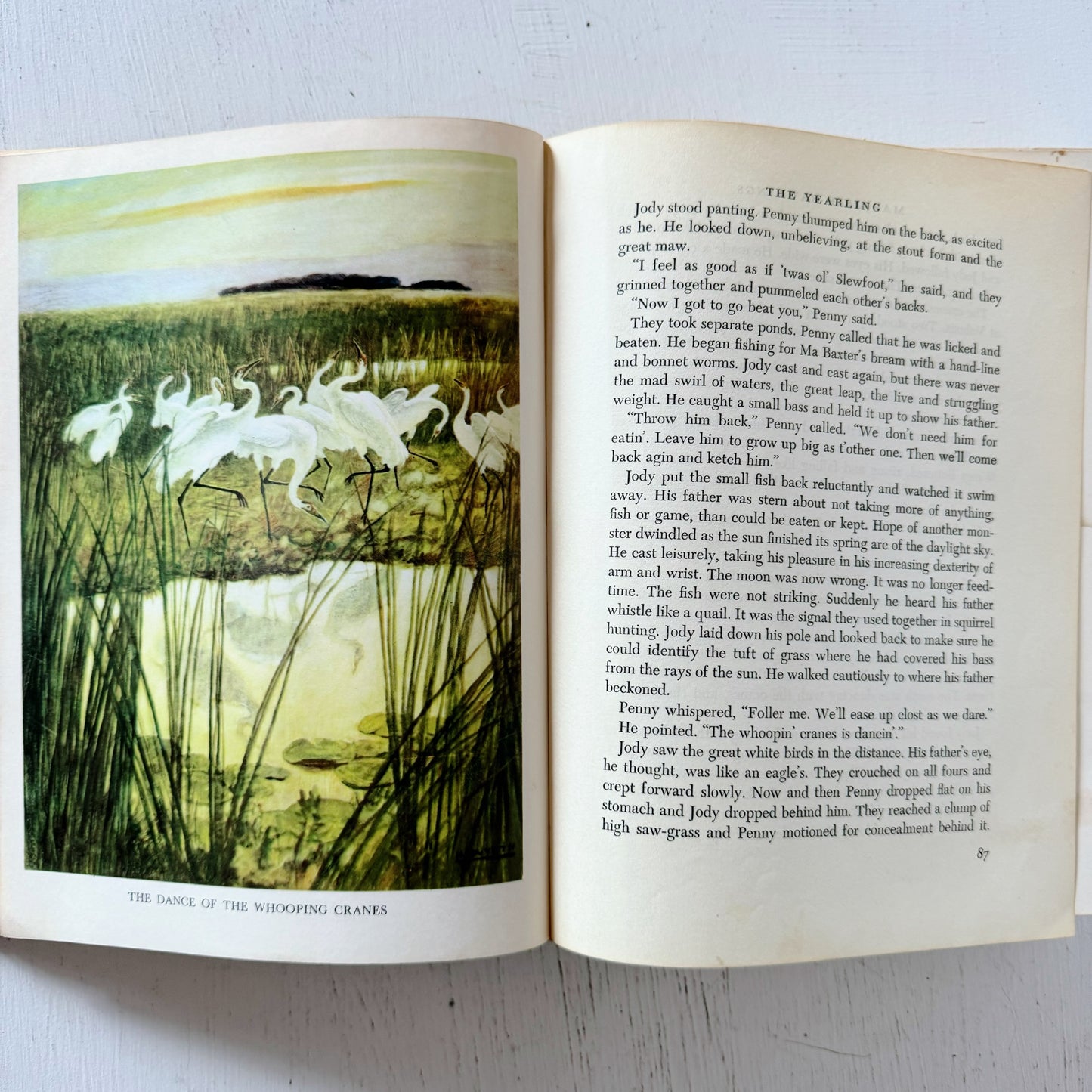 The Yearling, Marjorie Kinna Rawlings, 1961 Illustrated