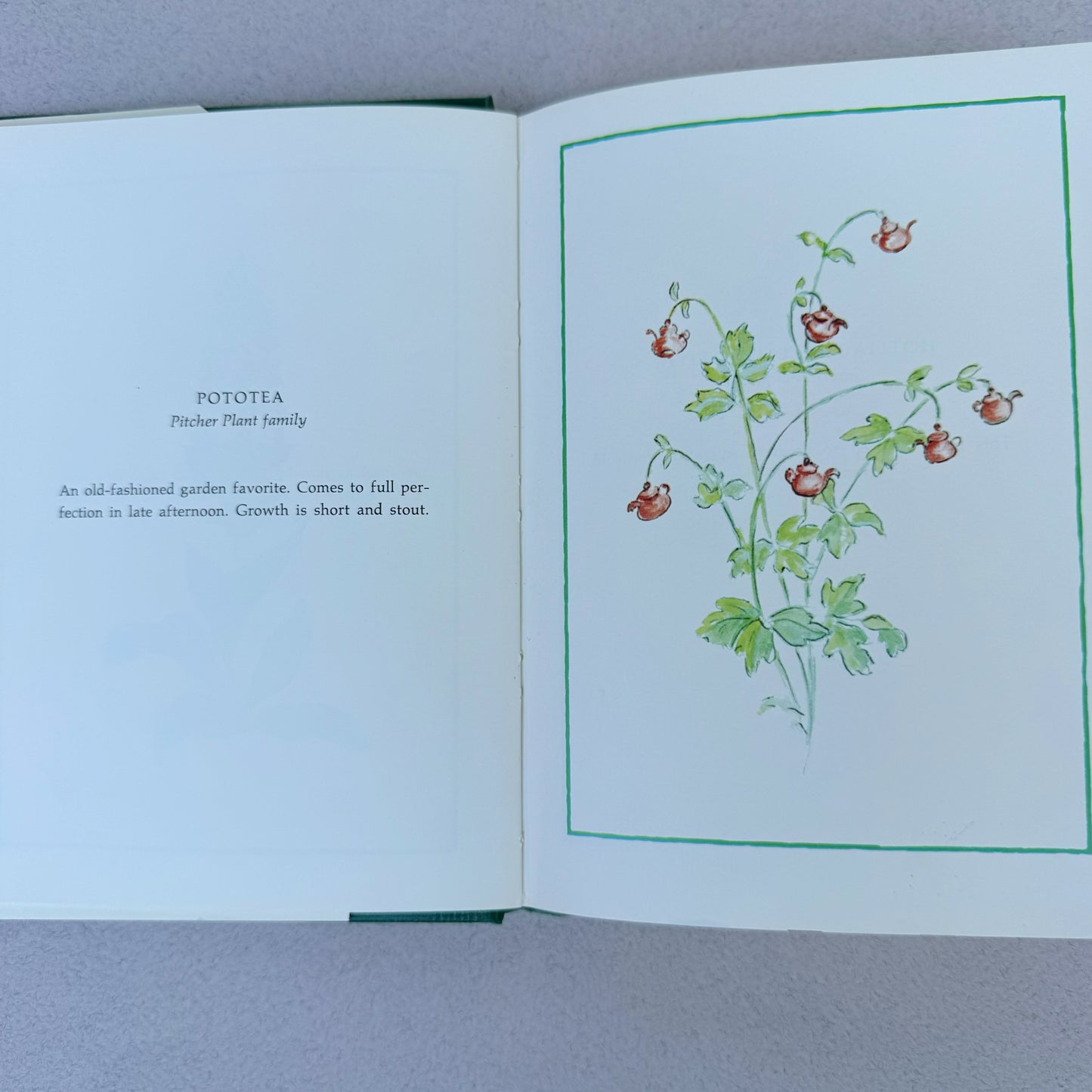 How Does Your Garden Grow? - 1980 Illustrated Botanical Pocket Sized Hardcover by Mary Hilliard Jackson