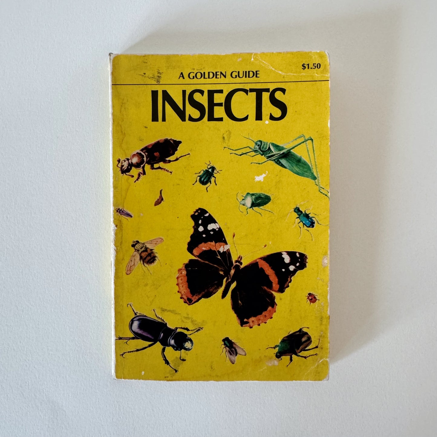 Insects A Golden Guide, Vintage 1956