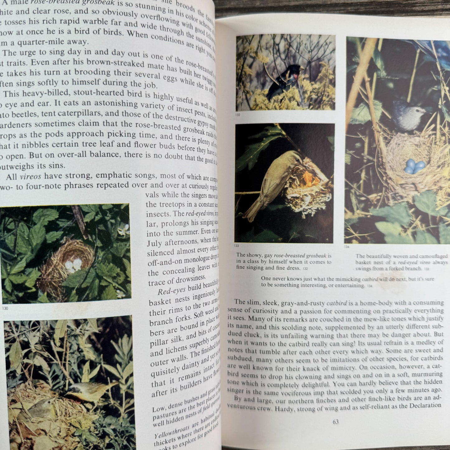 Nature’s Wonders in Full Color, Charles L. Sherman, 1956