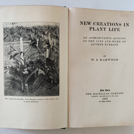 New Creations in Plant Life: An Authoritative Account of the Life and Work of Luther Burbank, 1906