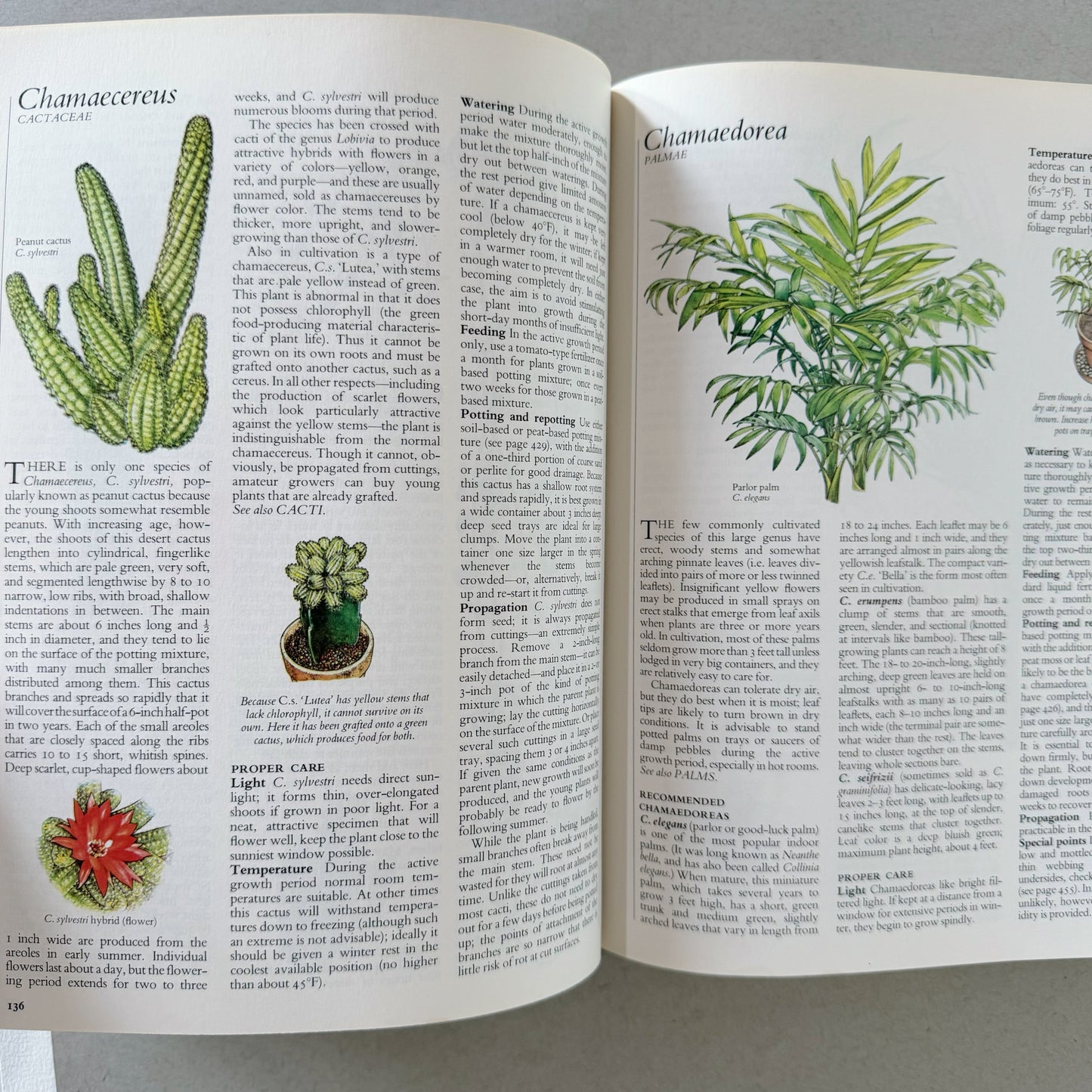 Reader's Digest Success With House Plants, Illustrated Botanical Book, 1979