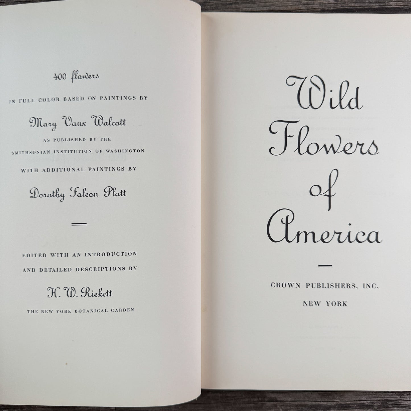 Wild Flowers of America, Oversized Hardcover, H.W. Rickett, 1953