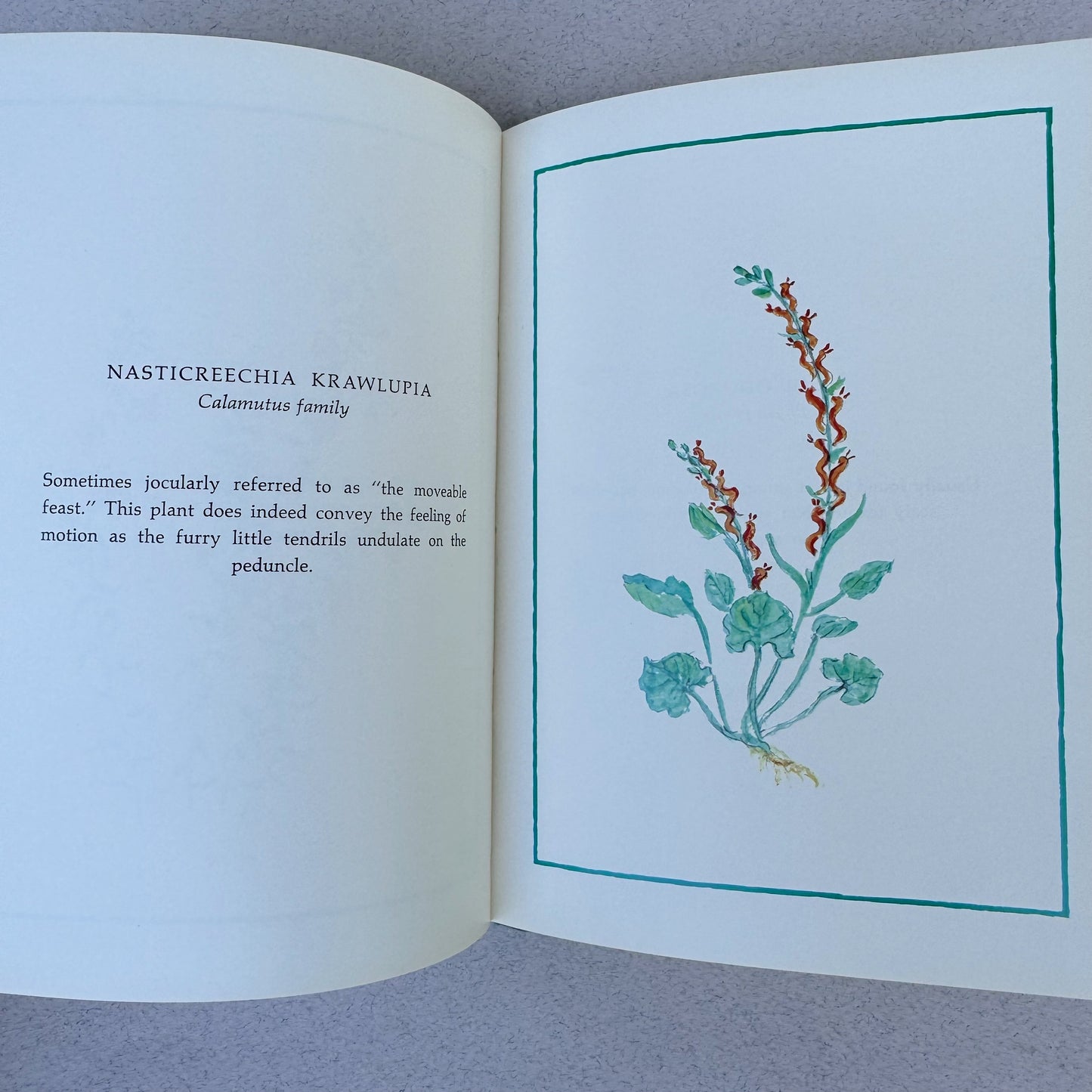 How Does Your Garden Grow? - 1980 Illustrated Botanical Pocket Sized Hardcover by Mary Hilliard Jackson