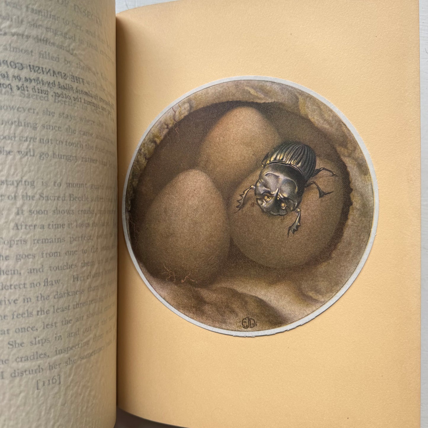 Fabre's Book of Insects, 1937 Sixth Printing, Illustrated Hardcover Nature Study