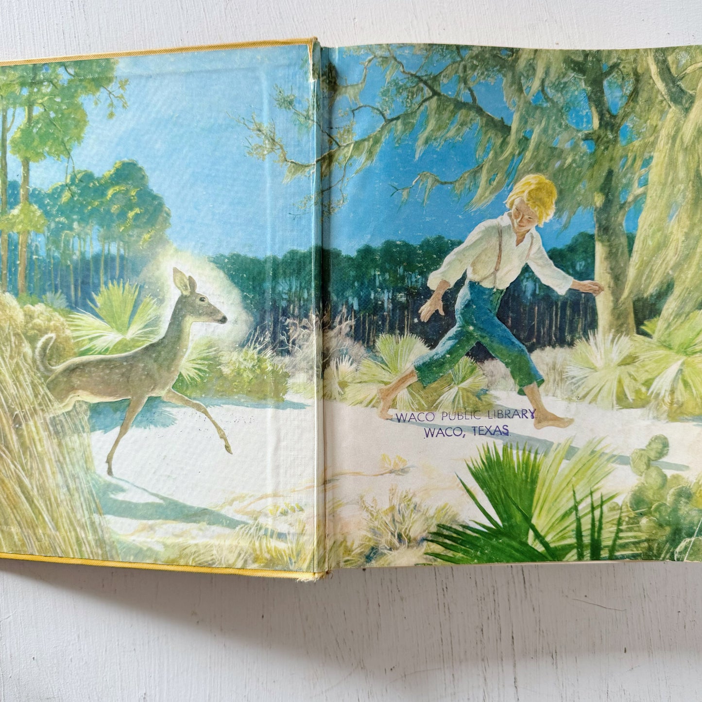 The Yearling, Marjorie Kinna Rawlings, 1961 Illustrated