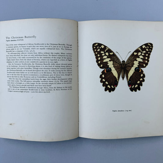 Beautiful Butterflies, Color Plates by F. Prochazka, 1964, Hardcover Book