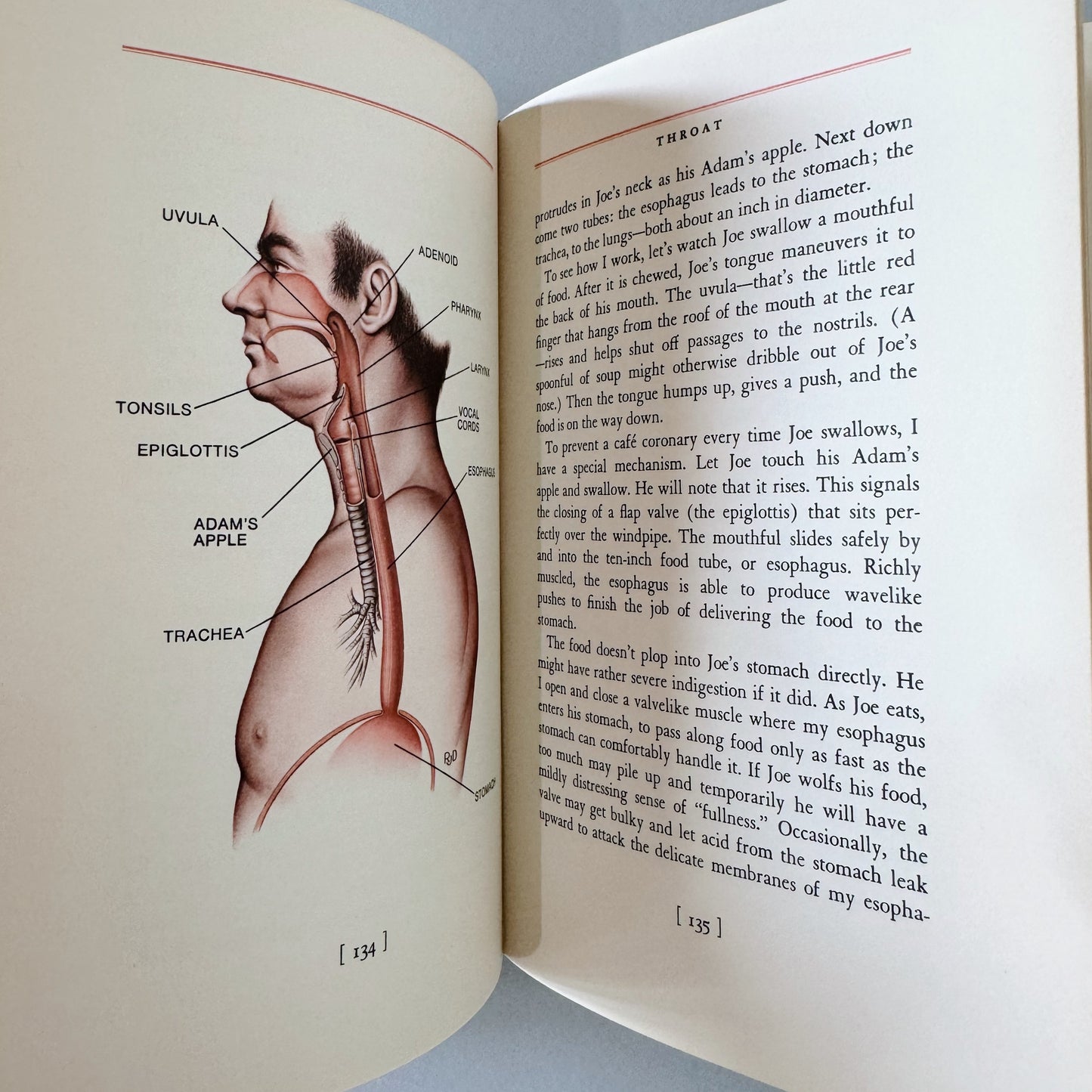 Your Body & How It Works, Vintage 1975 Reader's Digest Illustrated Hardcover