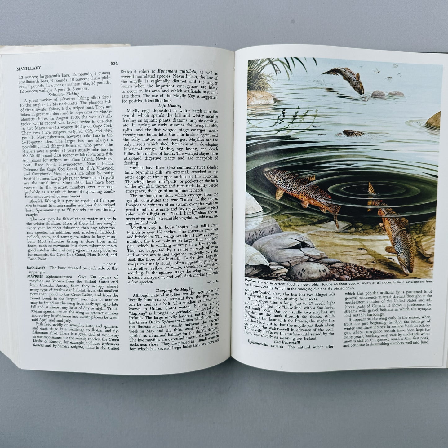 McClane's Standard Fishing Encyclopedia, 5th Printing, 1965