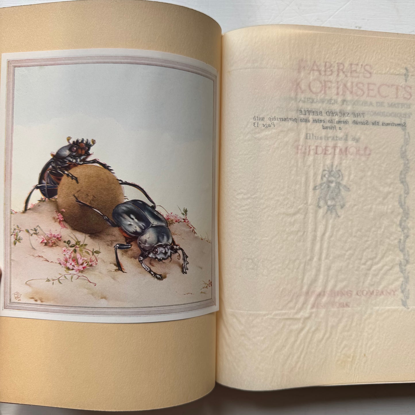 Fabre's Book of Insects, 1937 Sixth Printing, Illustrated Hardcover Nature Study