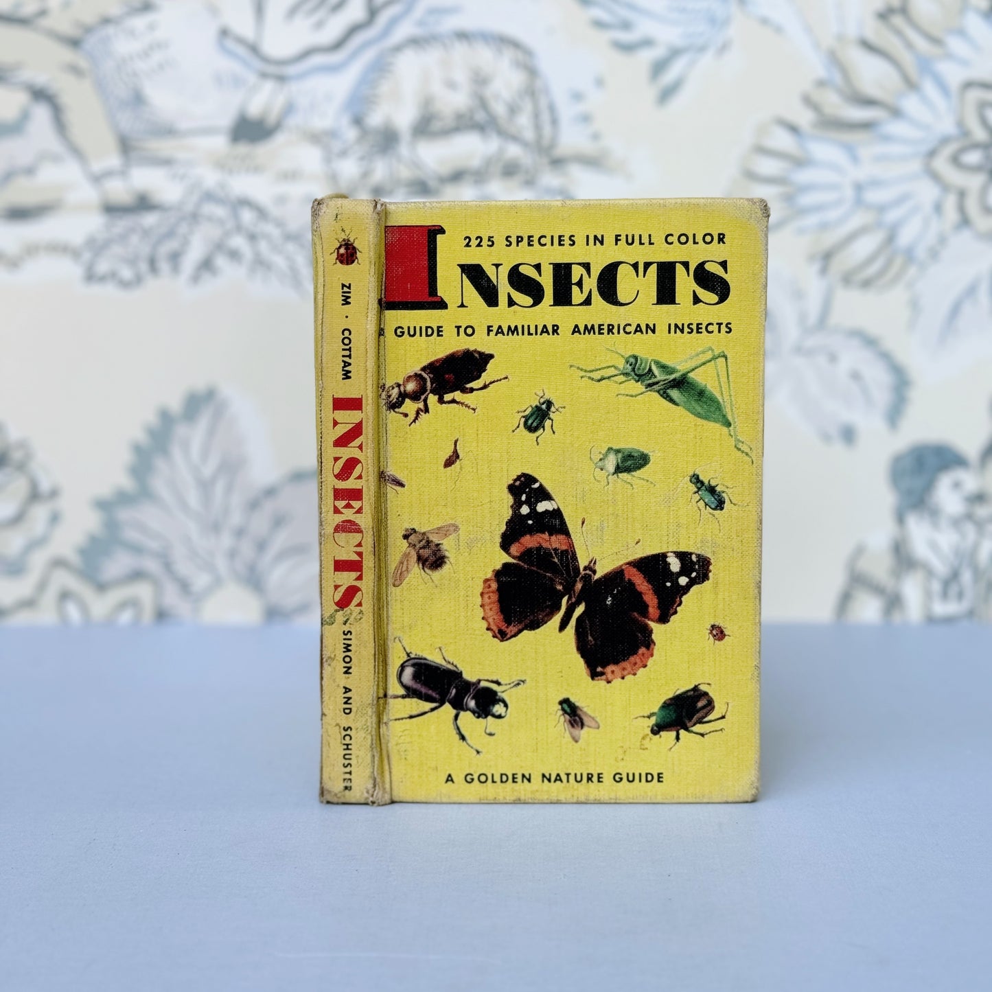 Insects A Golden Guide Hardcover, Vintage 1951